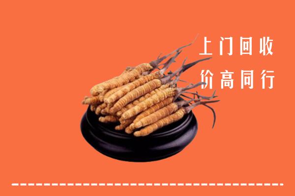 高价求购：莘县回收散虫草