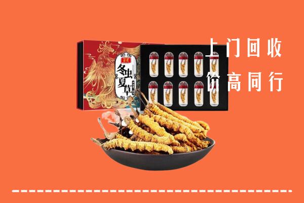 莘县回收虫草